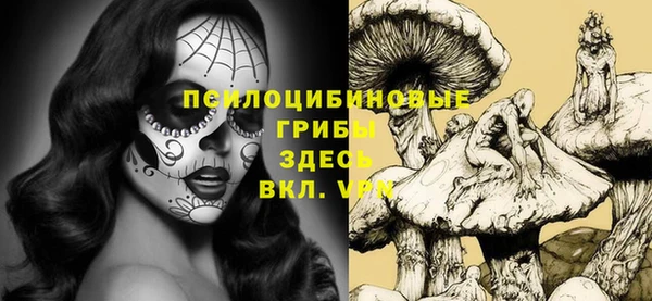 твердый Бугульма