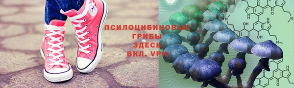 наркотики Бородино