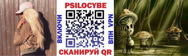 купить   Кондрово  Псилоцибиновые грибы GOLDEN TEACHER 